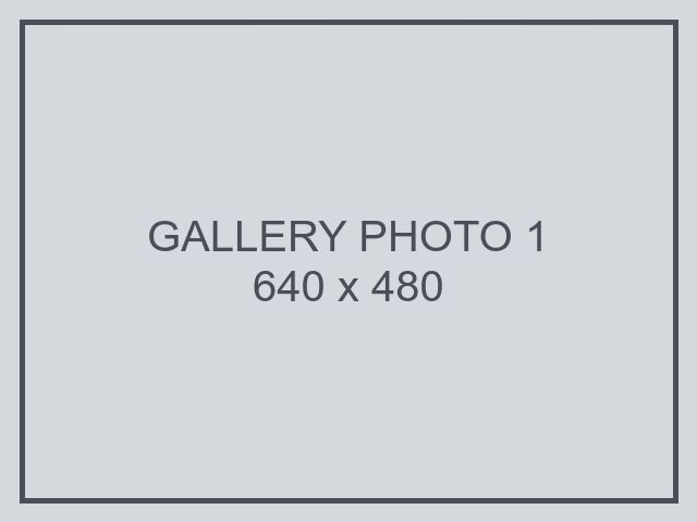 Lorem ipsum dolor sit amet, gallery photo 1