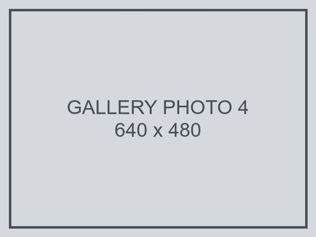 Lorem ipsum dolor sit amet, gallery photo 4