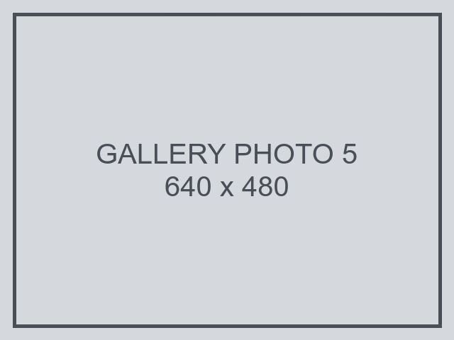 Lorem ipsum dolor sit amet, gallery photo 5